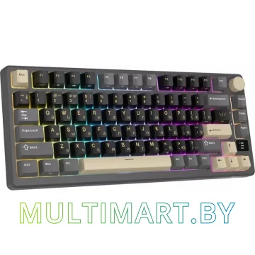 Клавиатура Royal Kludge RK-M75 RGB Phantom (RK Silver) картинка 3